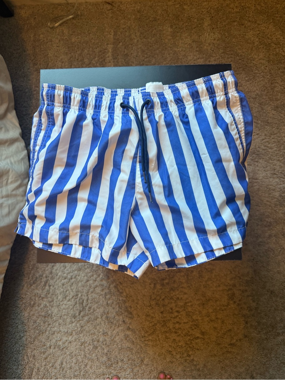Men's Blue and White Striped Swim Shorts